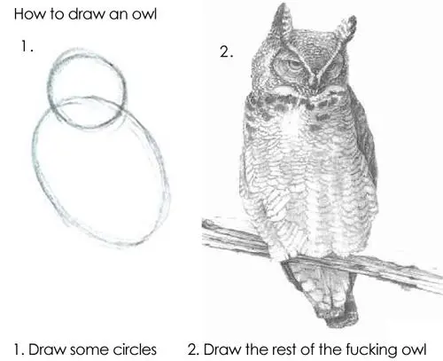 rest of the owl meme